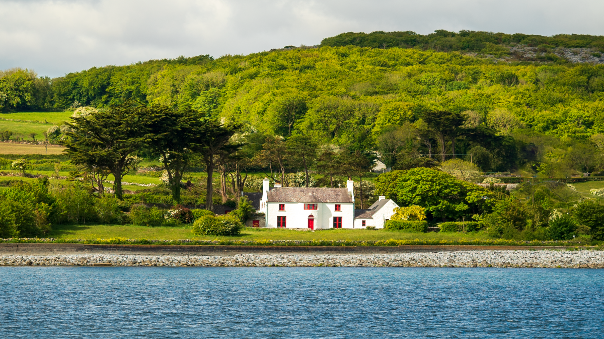 Mount Vernon - the house, the wild flower meadow and then the beach